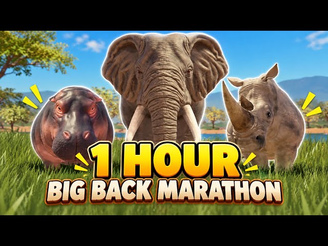 1 HOUR BIG BACK MARATHON! Rhino, Hippo & Elephant Kosing | Savannah Life Roblox