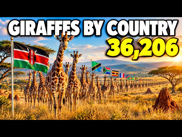 Giraffe Population by Country 🦒 3D Comparison