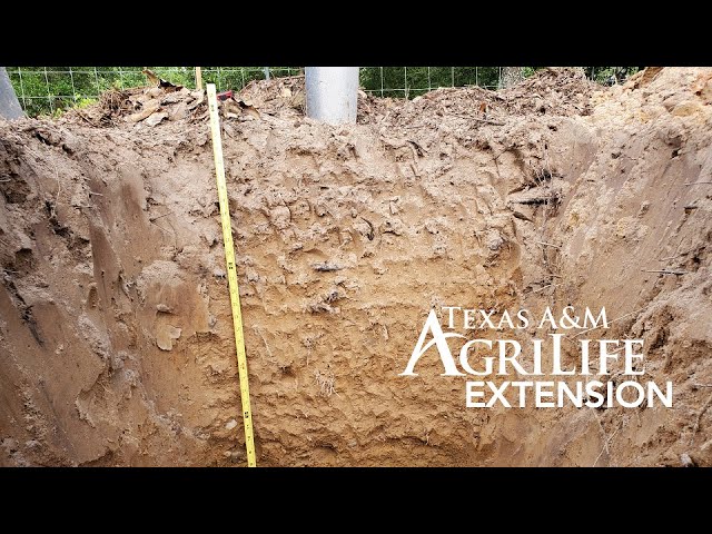 Understanding Soil and Using the SoilWeb Browser
