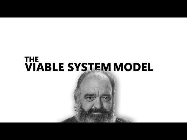 The Viable System Model