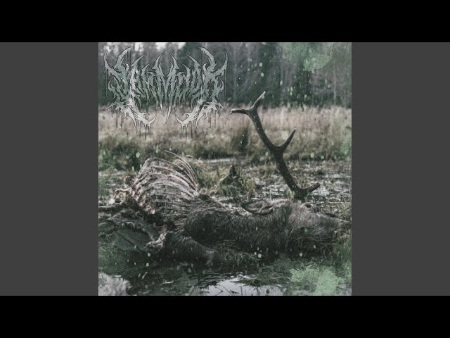 Bros of Decay (feat. Alex Koehler of AMEONNA)