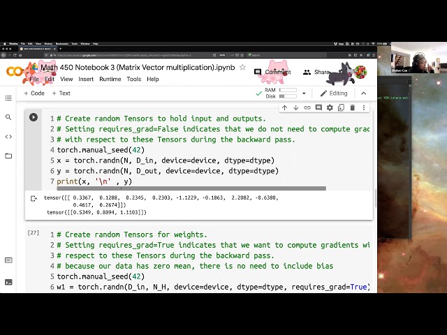 Lecture 9 Colab coding: PyTorch forward pass and backprop