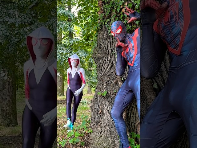 Spider-Man gets REVENGE on SpiderGwen #shorts
