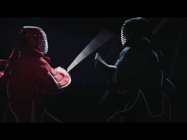 WEKAF 2016 Sparring