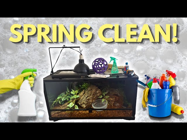 Cleaning My Ball Python’s Enclosure 