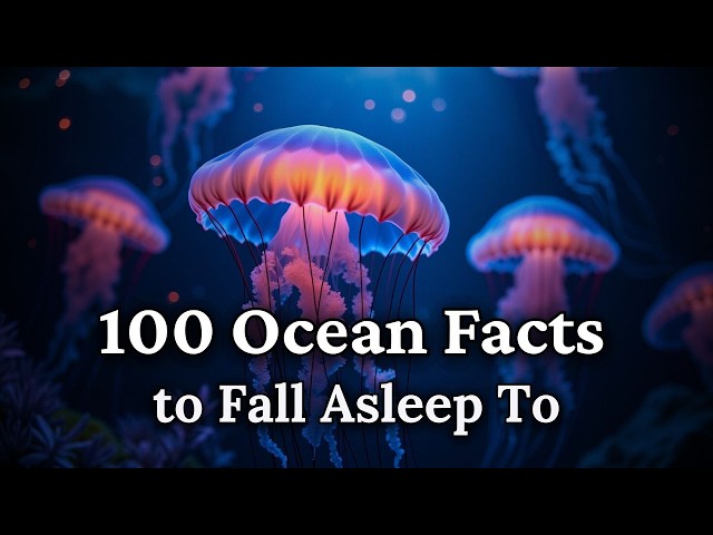 The Most Relaxing Ocean Facts to Fall Asleep To — Dreamy Science