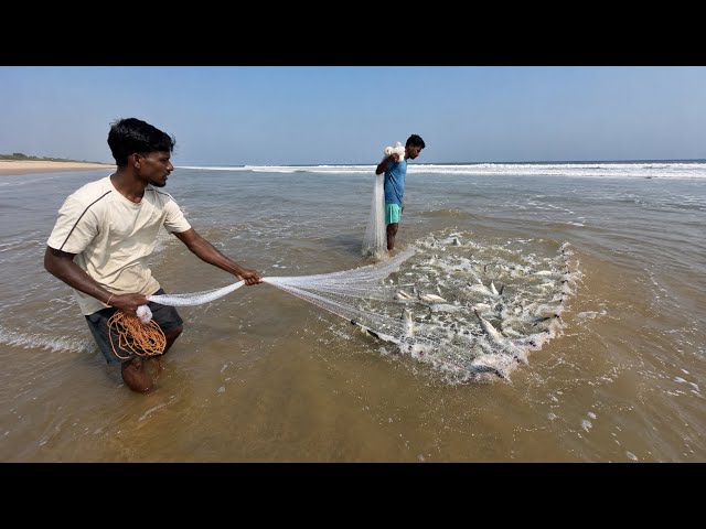 Net Fishing Video - Very Amazing Skill Cast Net Fishing In River - Best Net Fishing 