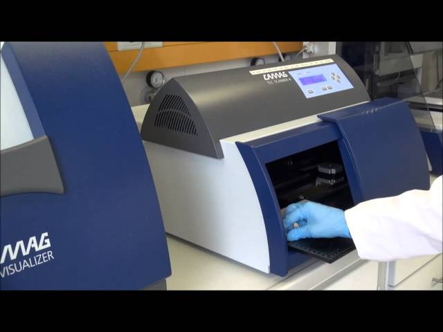 CAMAG HPTLC Application Tutorial - Quantitative determination of steviol glycosides