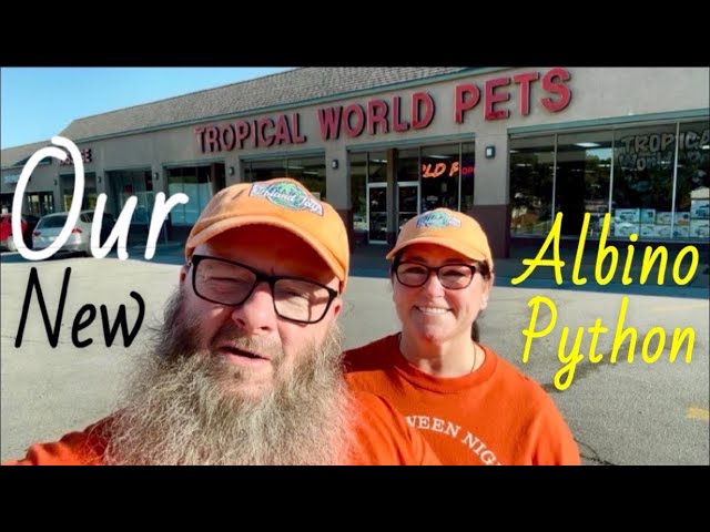 Meet Our New Albino Carpet Python🐍Enclosure Setup Tour, Feeding and Handling!