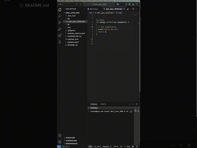 Comment est composé un programme dans le langage de programmation dart ? #tutorial #code