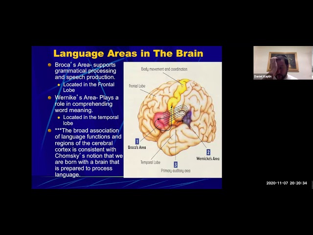 Developmental Psychology: Language Development
