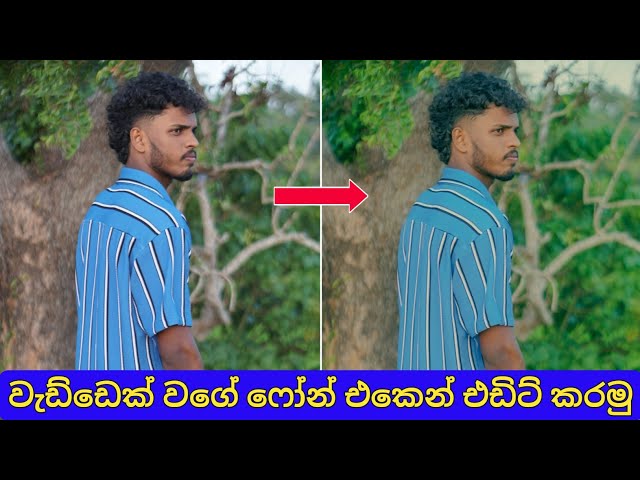 Lightroom Cinematic Nature Evening Color Grading Tutorial | Lightroom Photo Editing Sinhala 2026