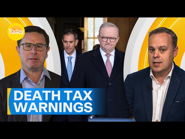 Chef facing jail time over ant dish | Today Show Australia