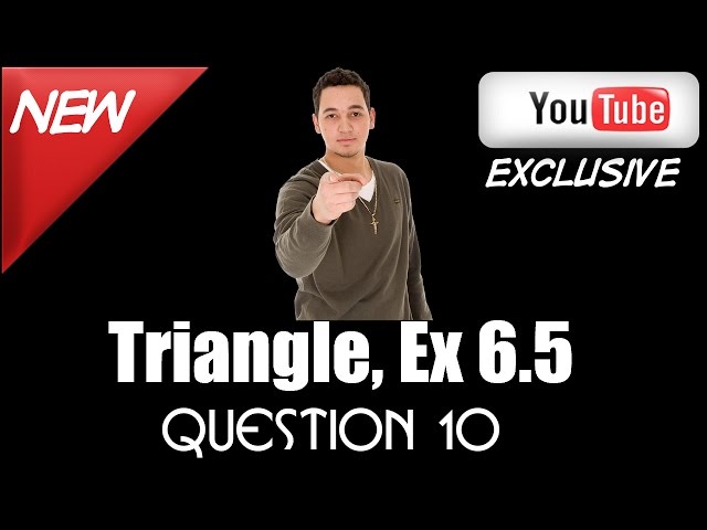 Ncert Solutions for Class 10 maths ,Triangle Ex 6.5 Q10