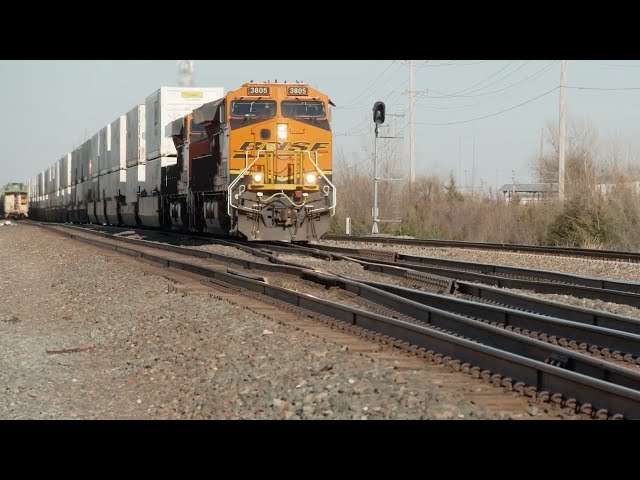BNSF Resilient Frogs