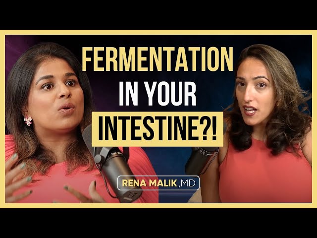 Science Behind Bloating: Triggers &  Effective Remedies for Stomach Bloating ft. Dr. Kumkum Patel