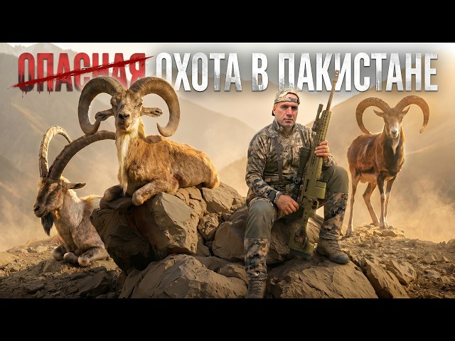 Wild Pakistan: The Quest for Three Rare Trophies #hunting