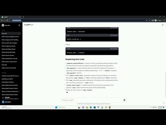 python argparse flag