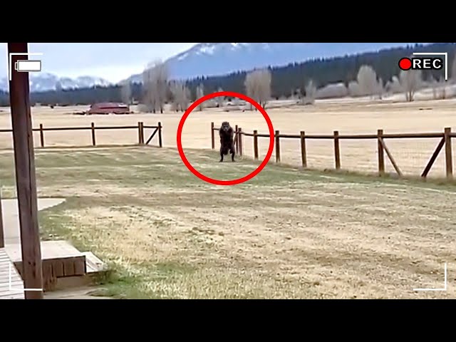 10 Bizarre Unsolved Mysteries That Can Not Be Explained