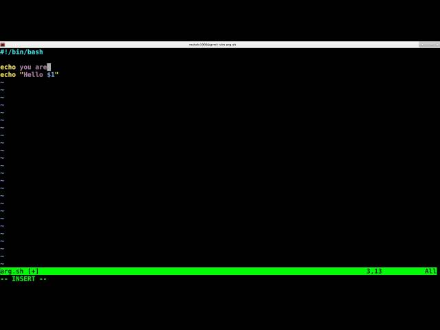 Parameters Arguments Linux Shell Script Tutorial