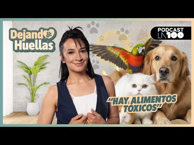 🐾 The IMPORTANCE of NOT feeding DOGS certain FOODS 🐾