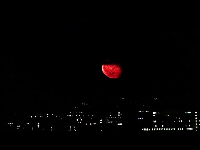 Tomato Moon