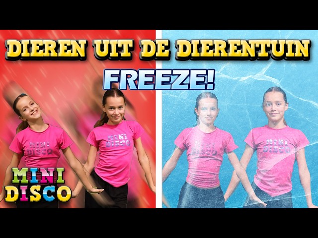 Dieren Uit de Dierentuin 🦁 | Freeze 🥶 | Minidisco