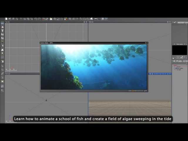Vue 10 - Tutorial - Master EcoSystem Phasing