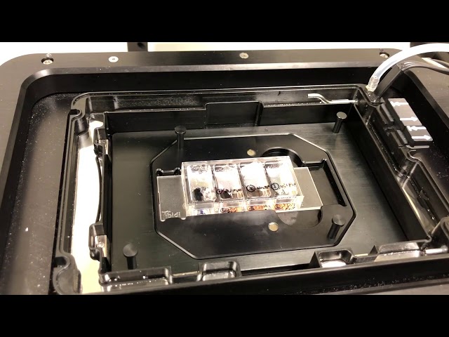 5 Startup Part 4 OPTIONAL - Securing a live sample - Spinning disk Hagrid