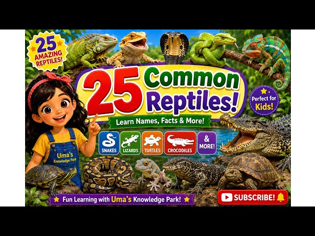 25 Common Reptiles for Kids 🐍🐢 | Learn Reptile Names & Facts