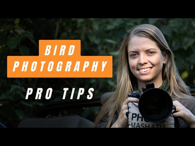 Bird Photography : Pro Tips & Tricks