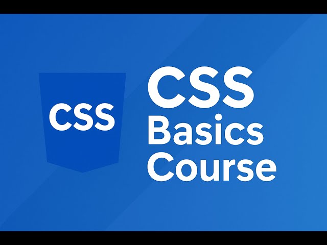 3) CSS Margin vs Padding Explained