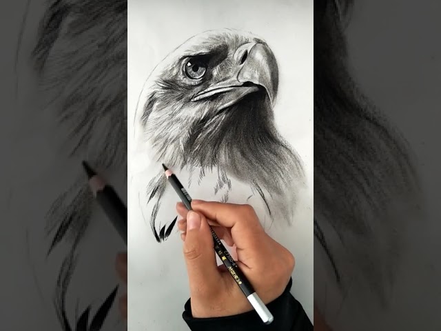 How to Draw Hyper Realistic Eye|Tutorial for BEGINNERS |Drawing the Black Widow | Portrait Tutorial