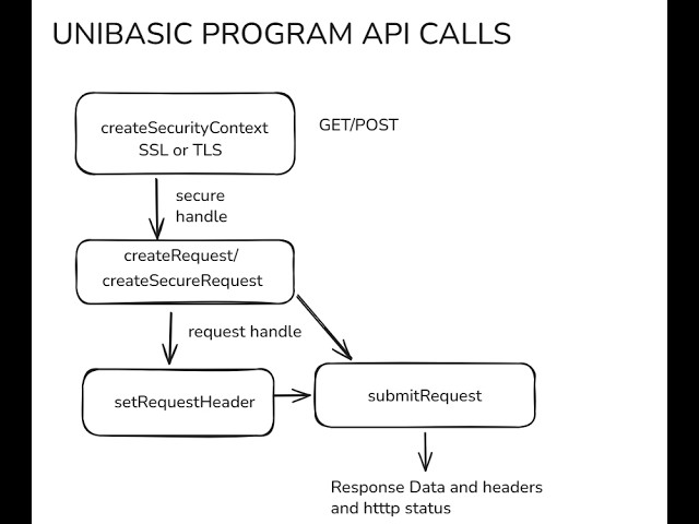 How to Make API Calls from a UniBasic Program | UniBasic API Integration Tutorial | Legacy system