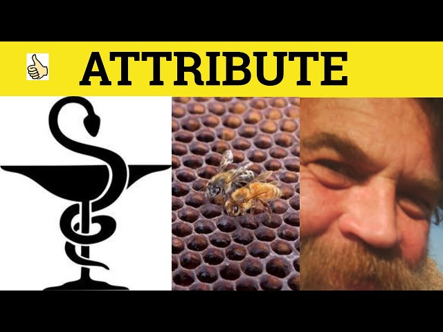 🔵 Attribute Attributed - Attribute Meaning - Attributed Examples - Attribute Definition