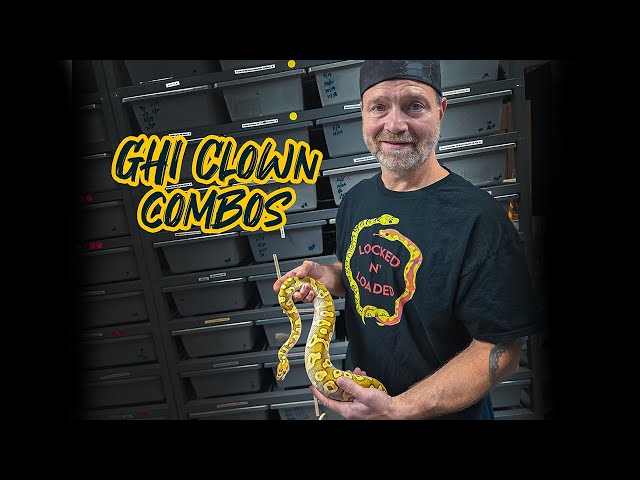 GHI Clown combos