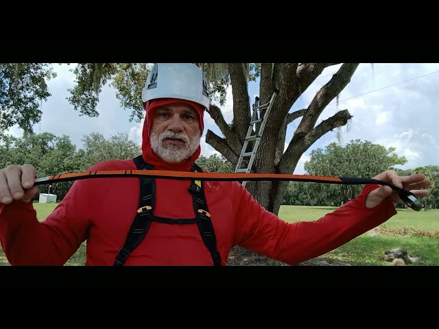 Three Ways to Climb Trees: Recreational Tree Climbing - Ray Hayden, J.D.