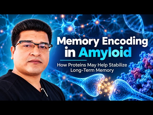 Memory Encoding in Amyloid | How Proteins May Help Stabilize Long Term Memory