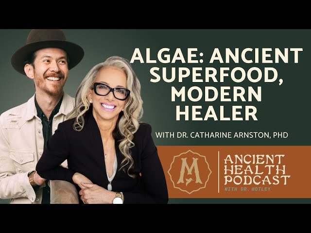 347: Algae: Ancient Superfood, Modern Healer | Dr. Catharine Arnston, PhD