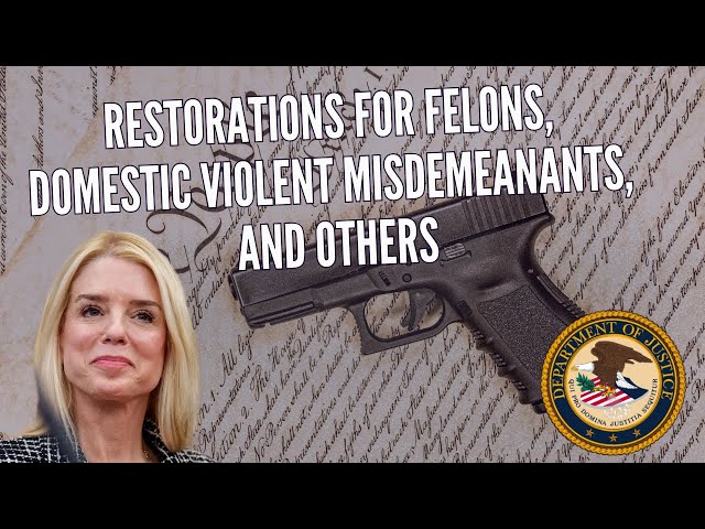 DOJ update on federal gun rights restoration