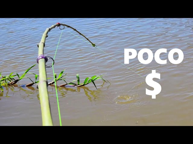 FISHING ON A BUDGET, "BAMBOO" rods urban fishing