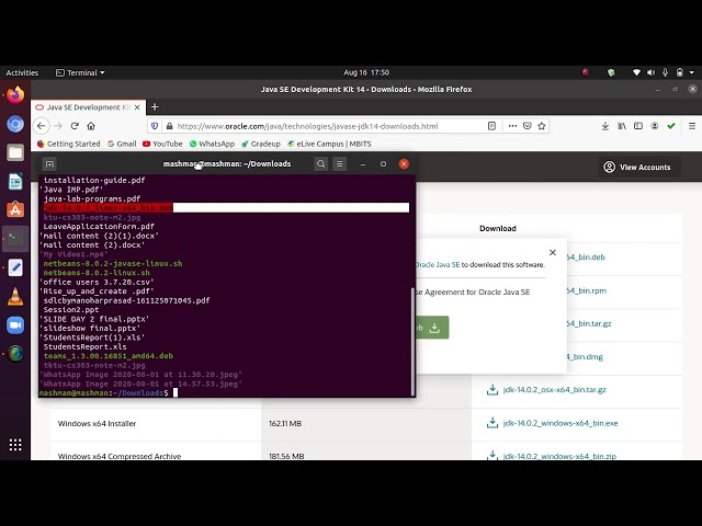 java install using package download