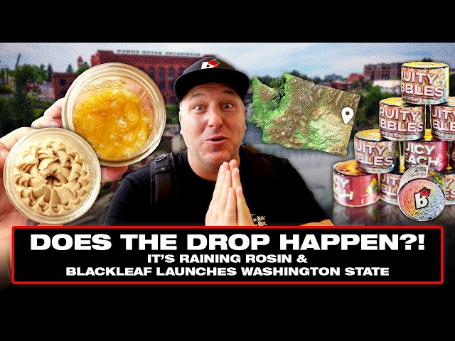 First Look At BlackLeaf Live Rosin In WA, Curations’ Massive Facility, & Churchill’s Steakhouse