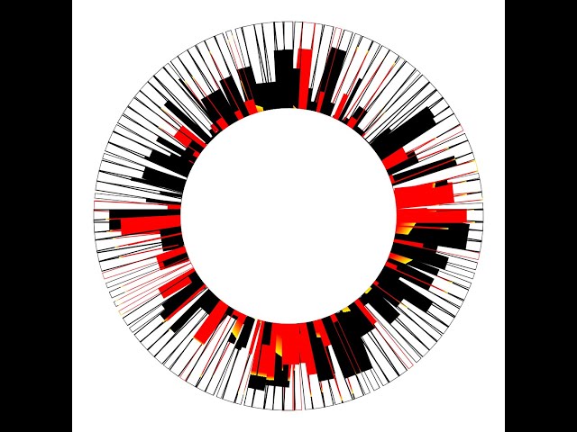 Lesson2 Creative coding Making Visuals With JavaScript Domestika