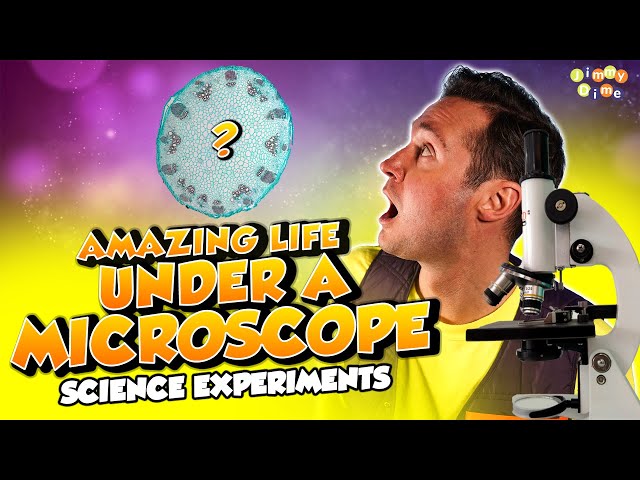 Amazing Life under a MICROSCOPE for Kids 🔬 How Does a Microscope Work 🧪 Science Experiments