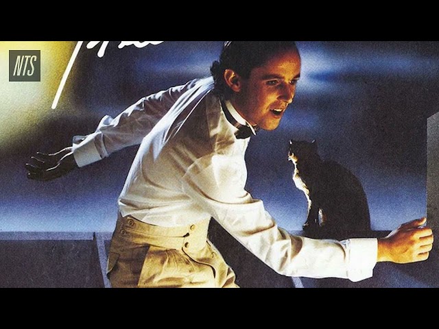 '80s French and Belgian Disco Pop【 THE NTS GUIDE TO… 】