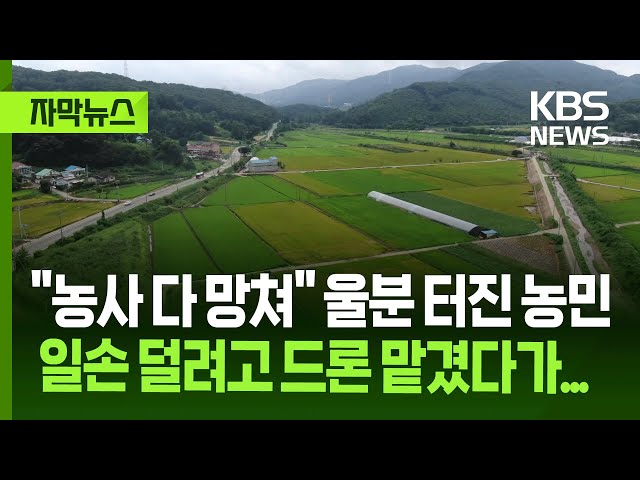 [Subtitle News] "My entire crop is ruined": Farmer's outrage after hiring a drone to save time / ...