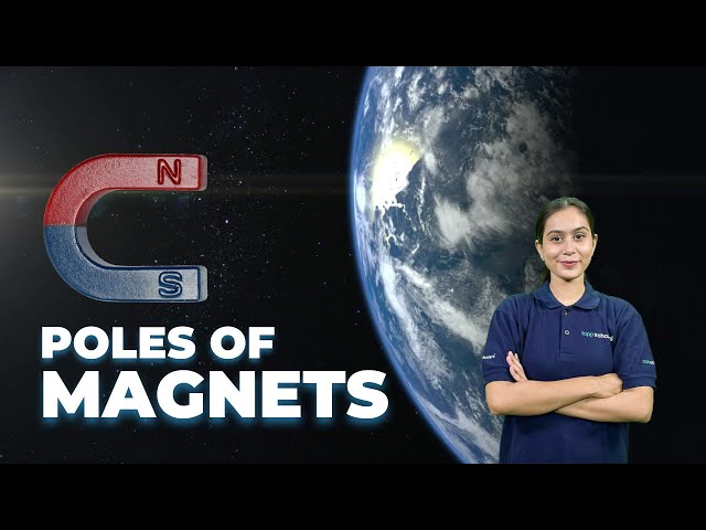 Class 6 Science Chapter 4 | Exploring Magnets Poles of Magnet & NCERT Activity 4 - Fun With Magnets