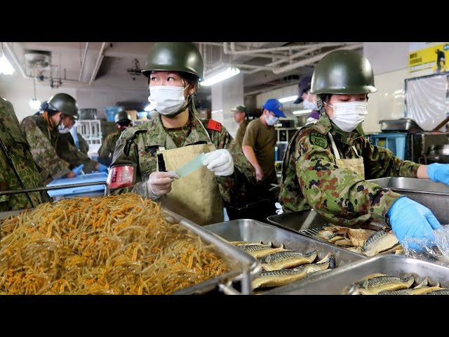 JSDF masters of Kitchen Prep?! Japan ARMY Food Compilation