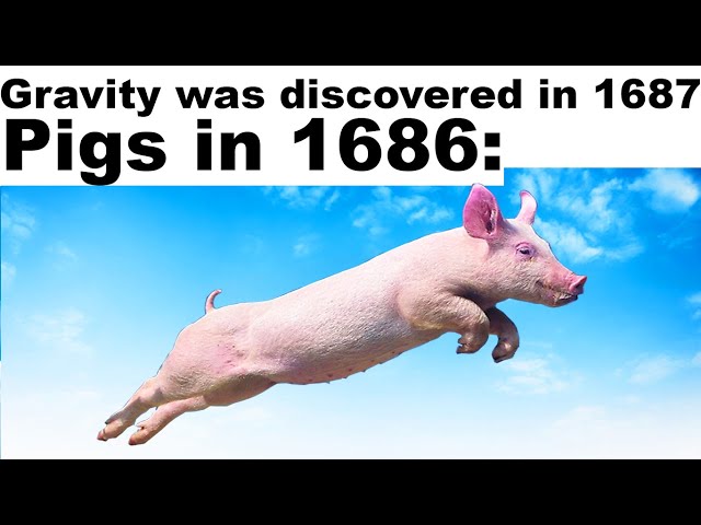 memes that defy the laws of physics